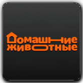 Домашние Животные orig